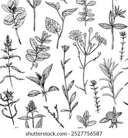 Seamless pattern with wild plants and flowers, vector illustration in engraving style.