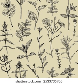 Seamless pattern with wild plants and flowers, vector illustration in engraving style.