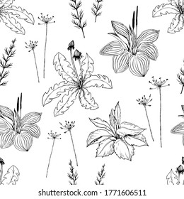 Seamless pattern with wild plants, herbs and flowers. Hand drawn botanical illustration isolated on white background.