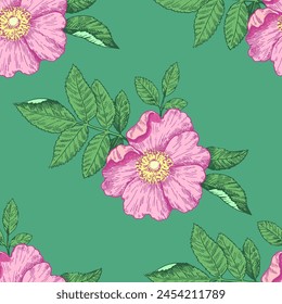 Seamless pattern with wild rose flowers. Vector illustration in retro detailed style.
