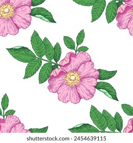 Seamless pattern with wild rose flowers. Vector illustration in retro detailed style.