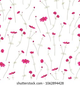 Seamless pattern with wild summer flowers on white background, editable