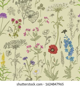 seamless pattern with wild vector flowers