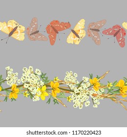 Seamless pattern of wildflowers and butterflies, vector illustration.