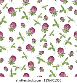 Seamless pattern with wildflowers. Clover. Infinite texture for the design of the season. Paper, textiles, packaging. Handmade. Vector illustration, floral ornament.
