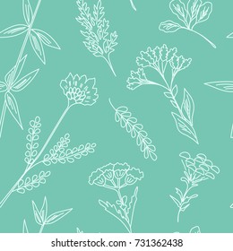 Seamless pattern with wildflowers. Floral background. Linear style vector illustration
