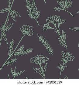 Seamless pattern with wildflowers. Floral background. Linear style vector illustration