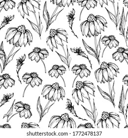Seamless pattern with wildflowers, garden daisy flowers, chrysanthemums. Coloring book for children and adults with beautiful delicate daisies, chrysanthemums in different positions. manual graphics. 