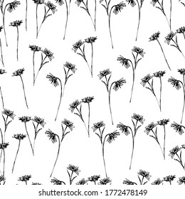 Seamless pattern with wildflowers, garden daisy flowers, chrysanthemums. Background for children and adults with beautiful delicate daisies, chrysanthemums in different positions. manual graphics. 