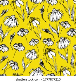 Seamless pattern with wildflowers, garden daisy flowers, chrysanthemums. Background for children and adults with beautiful delicate daisies, chrysanthemums in different positions. manual graphics. 