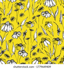 Seamless pattern with wildflowers, garden daisy flowers, chrysanthemums. Background for children and adults with beautiful delicate daisies, chrysanthemums in different positions. manual graphics. 