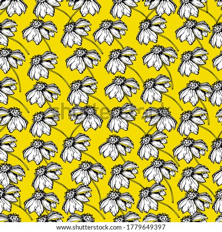 Seamless pattern with wildflowers, garden daisy flowers, chrysanthemums. Background for children and adults with beautiful delicate daisies, chrysanthemums in different positions. manual graphics. 