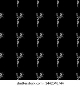 Seamless pattern with wildflowers on black background for print design. Print, design element. Seamless floral pattern. Fashion vector illustration. Summer background.