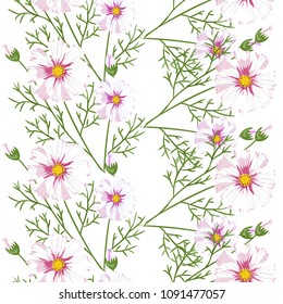 Seamless pattern with wildflowers on white background. Beautiful vector field blossom