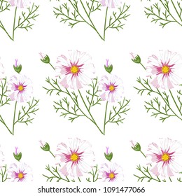 Seamless pattern with wildflowers on white background. Beautiful vector field blossom