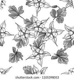 Seamless pattern with wildflowers on white background. Beautiful vector field blossom. White and black flowers monotone style.