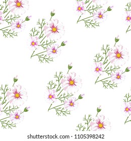 Seamless pattern with wildflowers on white background. Sunny clor flower vector field blossom.