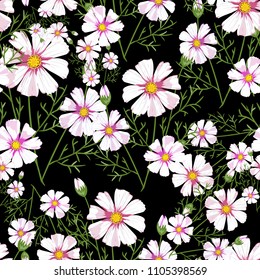 Seamless pattern with wildflowers on white background. Sunny clor flower vector field blossom.