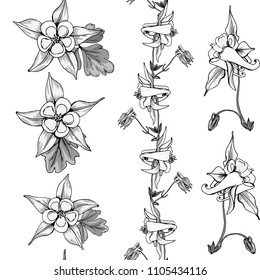 Seamless pattern with wildflowers on white background. Beautiful vector field blossom. White and black flowers monotone style.