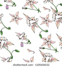 Seamless pattern with wildflowers on white background. Sunny clor flower vector field blossom.