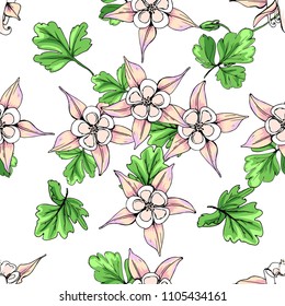 Seamless pattern with wildflowers on white background. Sunny clor flower vector field blossom.