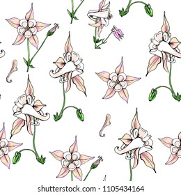 Seamless pattern with wildflowers on white background. Sunny clor flower vector field blossom.