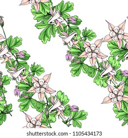 Seamless pattern with wildflowers on white background. Sunny clor flower vector field blossom.