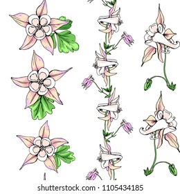 Seamless pattern with wildflowers on white background. Sunny clor flower vector field blossom.