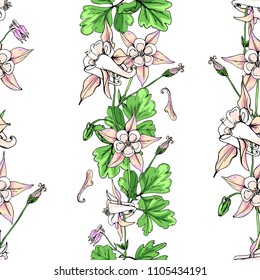Seamless pattern with wildflowers on white background. Sunny clor flower vector field blossom.