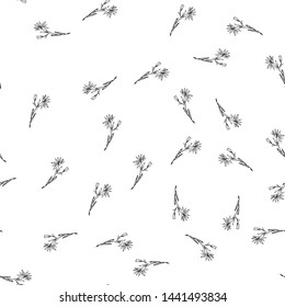 Seamless pattern with wildflowers on white background for print design. Print, design element. Seamless floral pattern. Fashion vector illustration. Summer background.
