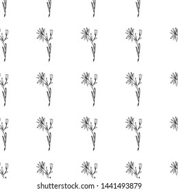 Seamless pattern with wildflowers on white background for print design. Print, design element. Seamless floral pattern. Fashion vector illustration. Summer background.