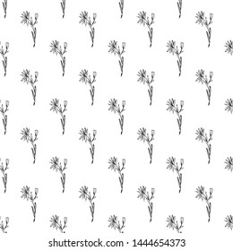 Seamless pattern with wildflowers on white background for print design. Print, design element. Seamless floral pattern. Fashion vector illustration. Summer background.