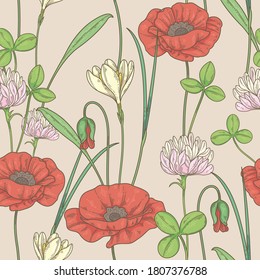 seamless pattern with wildflowers. Pattern with poppies, clover and echinacea
