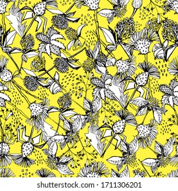 Seamless pattern with wildflowers. thistle for cosmetics. natural essential oil. hand draws with a pencil. Floral pattern for textiles, wallpaper, packaging. diuretics, antidepressants.