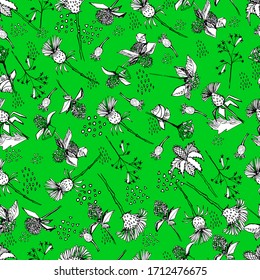 Seamless pattern with wildflowers. thistle for cosmetics. natural essential oil. hand draws with a pencil. Floral pattern for textiles, wallpaper, packaging. diuretics, antidepressants.