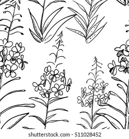 Seamless pattern willow-herb