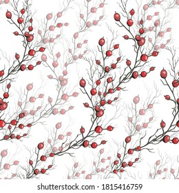 seamless pattern of winter, the red berries of Holly without leaf. modern, hand-drawn, dynamic illustration in a realistic style. for Wallpaper, paper, your ideas. vintage Wallpaper.