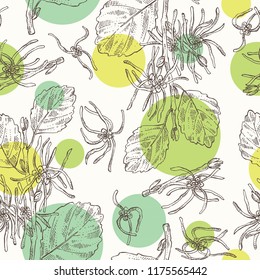 Seamless pattern with witch hazel: witch hazel flowering branch, leaves, and hamamelis virginiana flowers. Hamamelis virginiana.Cosmetic and medical plant. Vector hand drawn illustration