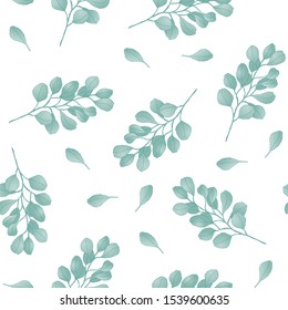 Seamless pattern witn floral eucalyptus branch. Organic ecological element for design wedding card, birthday poster. Vector Illustration