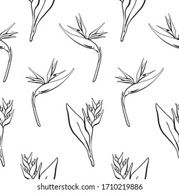 Seamless pattern witn Hand drawn black line sketch of tropical flowers and leaves isolated on white background. Vector illustration