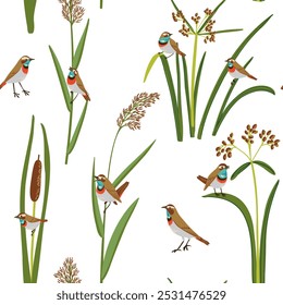 seamless pattern with wood club-rush, reed, cattail and bluethroats, vector drawing wild water plants and birds at white background, hand drawn illustration