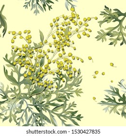 Seamless pattern of wormwood. Artemisia absinthium. Wormwood branch, wormwood flowers and leaves . Cosmetics and medical plant. Vector illustration.