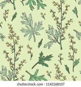 Seamless pattern with wormwood: wormwood branch, wormwood flowers and leaves . Cosmetics and medical plant. Vector hand drawn illustration.