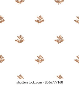 Seamless pattern wormwood on white background. Beautiful plant ornament. Geometrical texture template for fabric. Design vector illustration.