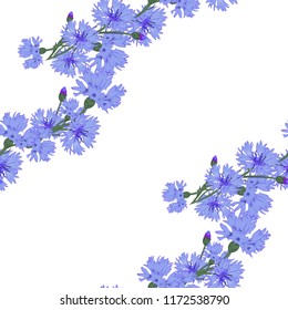 seamless pattern wreath of cornflowers on a white background will issue a postcard, banner, background, attracts with its tenderness