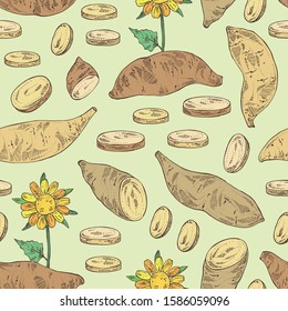 Seamless pattern with yacon: full yacon and piece of yacon. Vector hand drawn illustration