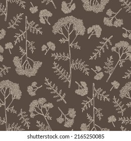 Seamless pattern with yarrow: yarrow leaves and yarrow flowers. Achillea millefolium. Cosmetics and medical plant. Vector hand drawn illustration.