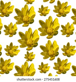 Seamless pattern. Yellow abstract flowers on a white background.