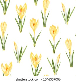 Seamless pattern with yellow crocus flowers and green leaves on a white background.