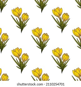 Seamless pattern with yellow crocuses on white background. Spring flowers. Doodle style. Vector image.
